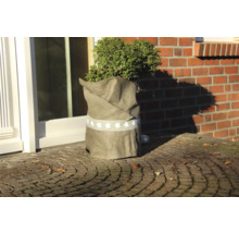 Eingewickelte Pflanze mit Sternenmuster als Winterschutz