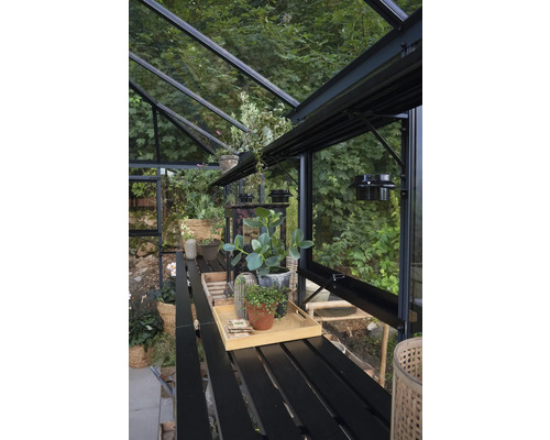 Innenansicht eines Gewächshauses mit Regalen und Pflanzen