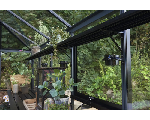 Innenansicht eines Gewächshauses mit Pflanzen und Regalen