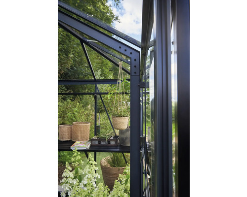 Innenansicht eines Gewächshauses mit Regalen und Pflanzen