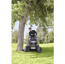 Mann fährt Rasentraktor auf einer Wiese um einen Baum herum.