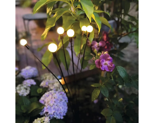 Gartenbeleuchtung mit Kugellampen zwischen Pflanzen und Blumen
