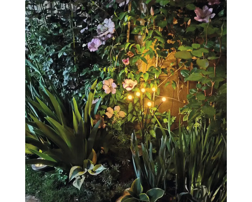Beleuchteter Garten mit Blumen und Pflanzen bei Nacht