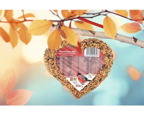 Herzförmiges Vogelfutter zum Aufhängen am Baum