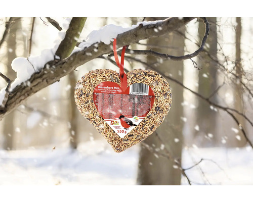 Herzförmiges Vogelfutter zum Aufhängen an einem verschneiten Ast