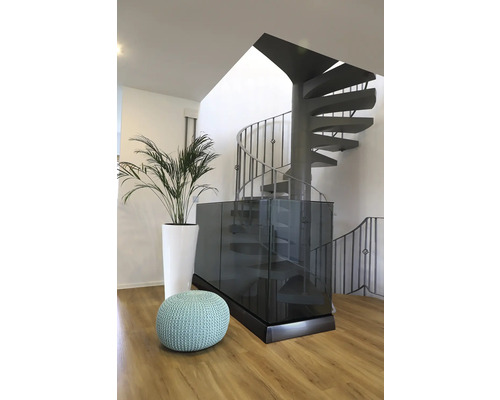 Heller Raum mit Wendeltreppe, Pflanze im Topf und Sitzkissen