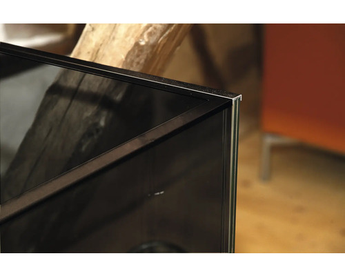 Detailaufnahme eines Aquariums mit schwarzem Rahmen