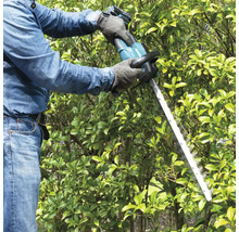 Eine Person schneidet eine Hecke mit einer Heckenschere.