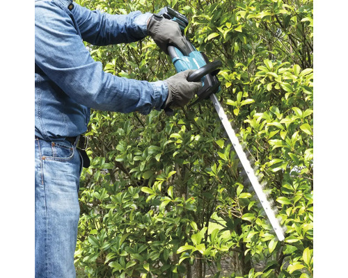 Eine Person schneidet eine Hecke mit einer Heckenschere.