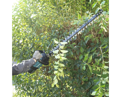Eine Person schneidet eine Hecke mit einer Heckenschere.