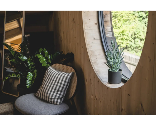 Holzzimmer mit rundem Fenster, Stuhl und Zimmerpflanzen