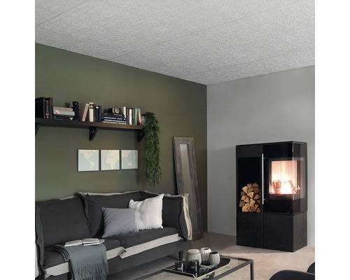 Wohnzimmer mit Deckenpaneelen, Sofa und Kaminofen