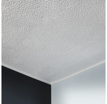 Detailaufnahme einer Decke mit Strukturputz