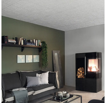 Wohnzimmer mit Deckenplatten, Sofa, Regal und Kamin