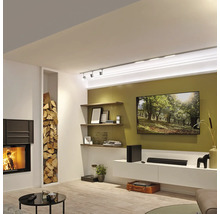 Wohnzimmer mit Kamin, Holzregal, Fernseher und Regalen