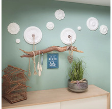 Wanddekoration mit Zierleisten, Astgarderobe, Dekorationsobjekten und einer grünen Wand