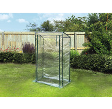 Tomaten-Gewächshaus 50 x 100 x 160/145 cm grün