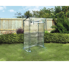 Tomaten-Gewächshaus 50 x 100 x 160/145 cm grün