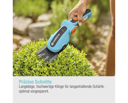 Gardena Akku-Grasschere beim Schneiden einer Buchsbaumhecke