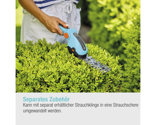 Gartenschere beim Schneiden eines Buchsbaums