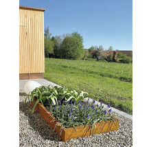 Pflanzrahmen Carlotta 120 x 40 x 25 cm Cortenstahl braun
