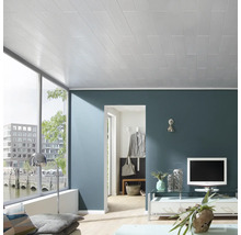 Wohnzimmer mit Holzpaneeldecke, Fenster und Möbeln