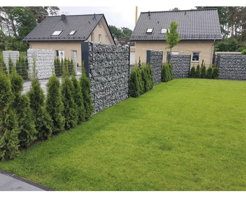 Gabionenwand mit Steinen und Pflanzen im Gartenbereich