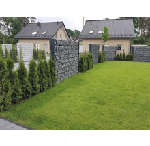 Gabionenwand mit Bepflanzung in einem Garten