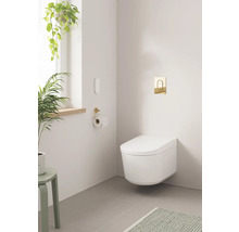 Modernes Badezimmer mit wandhängendem Dusch-WC, Betätigungsplatte, WC-Rollenhalter und Zimmerpflanzen.