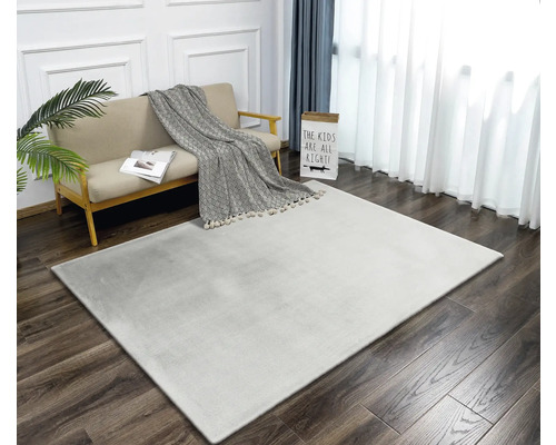 Heller Teppich in einem Wohnzimmer mit Sofa und Dekoration