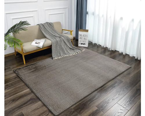 Wohnzimmer mit Sofa, Decke und Rechteckteppich auf Holzboden