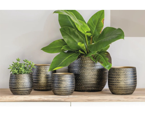 Dekorative Pflanzgefäße in verschiedenen Größen auf einem Regal mit Pflanzen