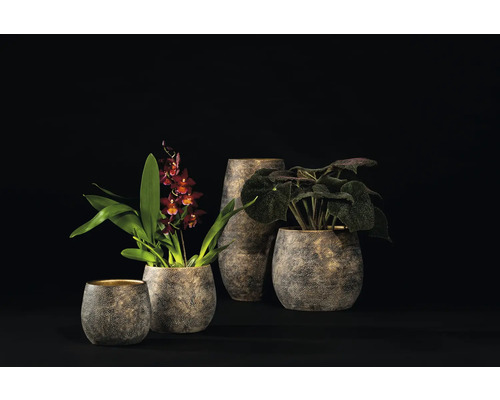 Verschiedene Blumentöpfe und Vasen mit Pflanzen auf dunklem Hintergrund