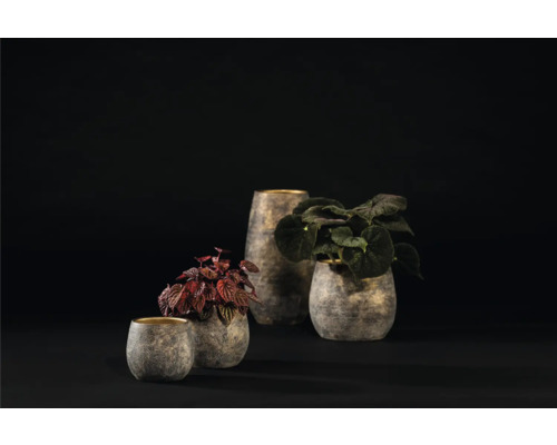 Verschiedene Pflanzen in strukturierten Übertöpfen