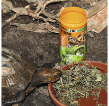 Schildkrötenfutter JBL PROTERRA HERBIL Pflanzliches Alleinfutter für alle Landschildkröten 250 ml