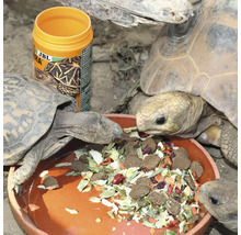 Schildkrötenfutter JBL PROTERRA VEGABIL Hauptfutter mit Gemüse für alle Landschildkröten 1000 ml