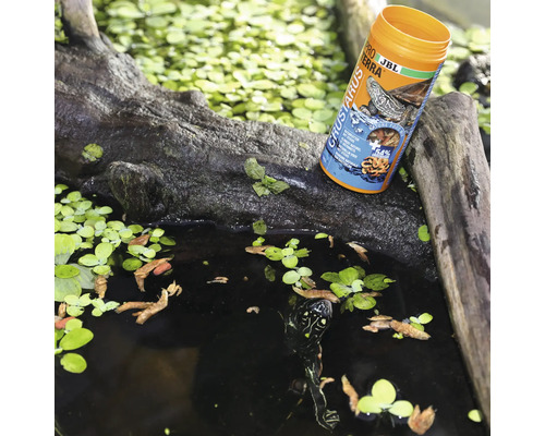 JBL ProTerra Crustarus Futter für Wasserschildkröten Dose neben Wasserstelle