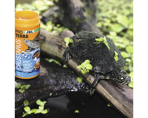 JBL Pro Terra Crustarus Futterdose für Wasserschildkröten neben Wasserschildkröte auf Holzstamm
