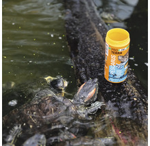 Schildkrötenfutter neben einem Baumstamm im Wasser und Schildkröten