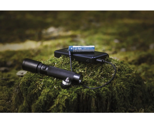 Taschenlampe, Powerbank und Lithium-Ionen Akku auf Moos