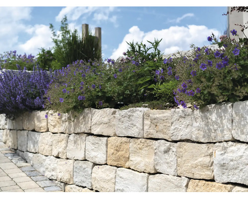 Eine Natursteinmauer mit Bepflanzung im Garten