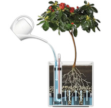 Illustration eines Bewässerungssystems für Pflanzen mit Gießkanne und Wasserstandsanzeige