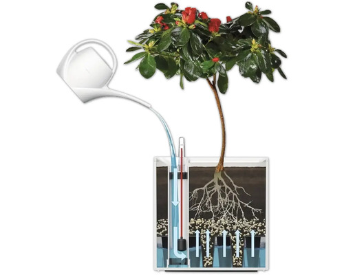 Illustration eines Bewässerungssystems für Pflanzen mit Gießkanne und Wasserstandsanzeige