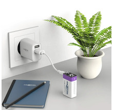 Ansmann Ladegerät lädt 9-Volt-Blockbatterie mit Notizbuch und Pflanze
