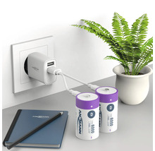 Zwei D-Batterien werden mit einem Ladegerät aufgeladen, das an eine Steckdose angeschlossen ist. Notizbuch und Stift liegen auf dem Tisch. Zimmerpflanze im Hintergrund.