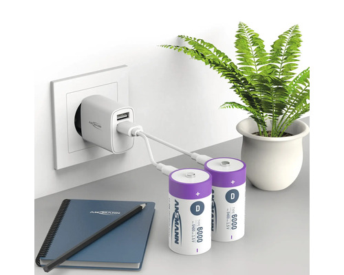 Zwei D-Batterien werden mit einem Ladegerät aufgeladen, das an eine Steckdose angeschlossen ist. Notizbuch und Stift liegen auf dem Tisch. Zimmerpflanze im Hintergrund.