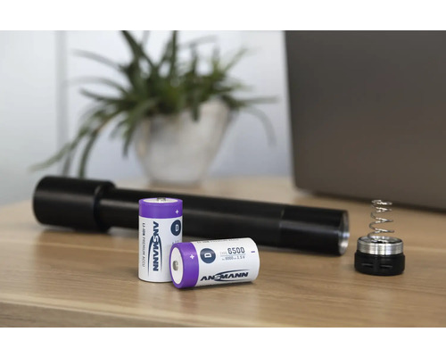 Ansmann Akkus D und LED Taschenlampe