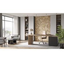 Büro mit Schreibtisch, Stuhl, Sesseln, Regalen und Dekoration