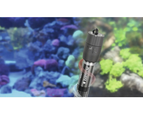 Aquarienheizer im Betrieb zur Temperaturkontrolle in einem Aquarium