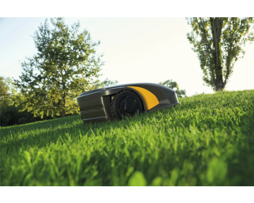 Rasenmähroboter auf einer Rasenfläche im Garten